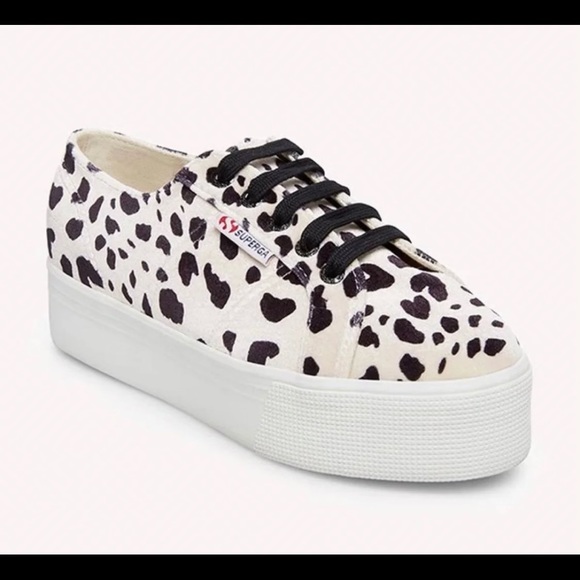 dalmatian superga